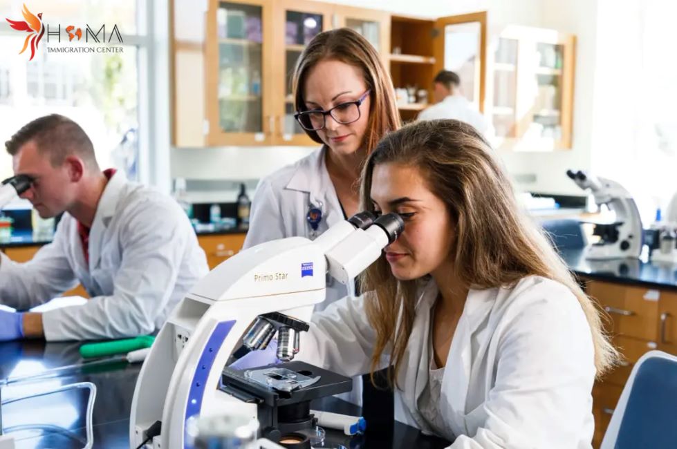 Cost to Study Medicine in Turkey in 2025–2026 | homa