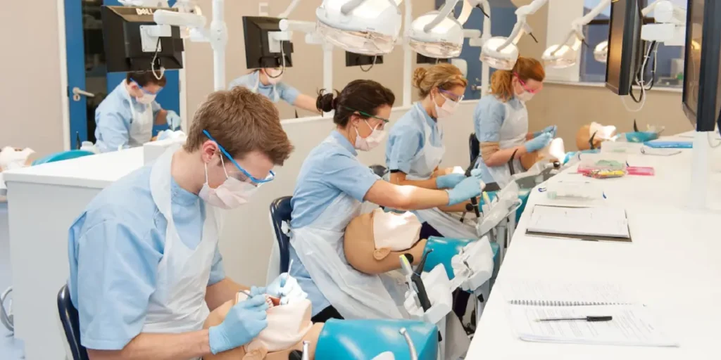 Study Dentistry in Romania